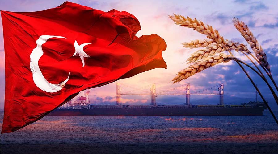 Tahıl Koridoru Anlaşması’nda Denetim Türkiye’de Olmalı