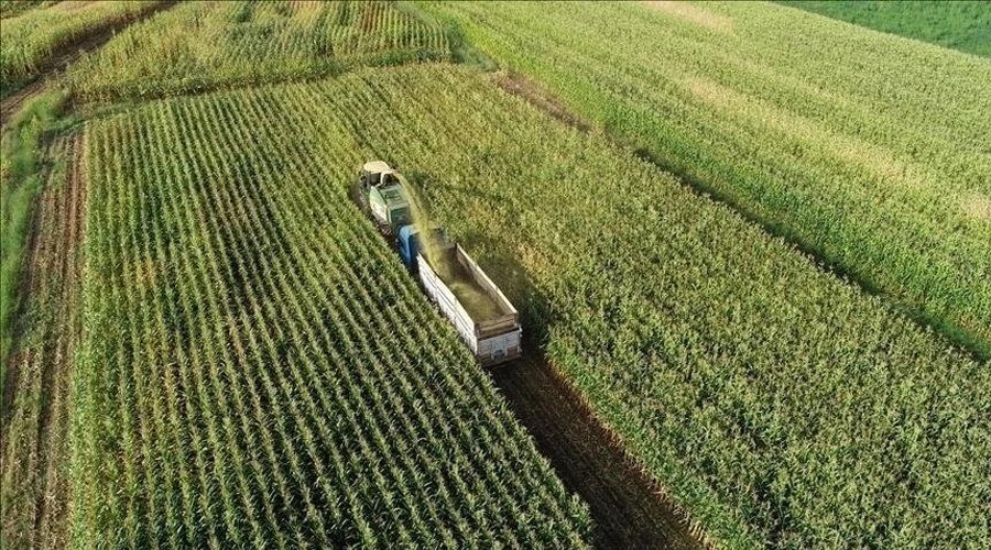 Tarım ÜFE'de Rekor Artış